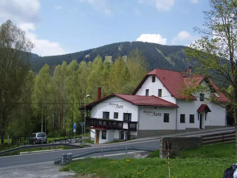 Photo 2 of Aura Pension Špičák
